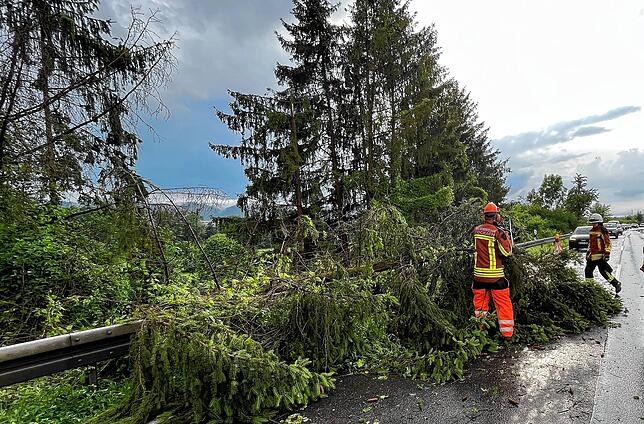 Ein Baum stürzte beim Hagelunwetter am Mittwochabend halb auf die B313 vor Espasingen.