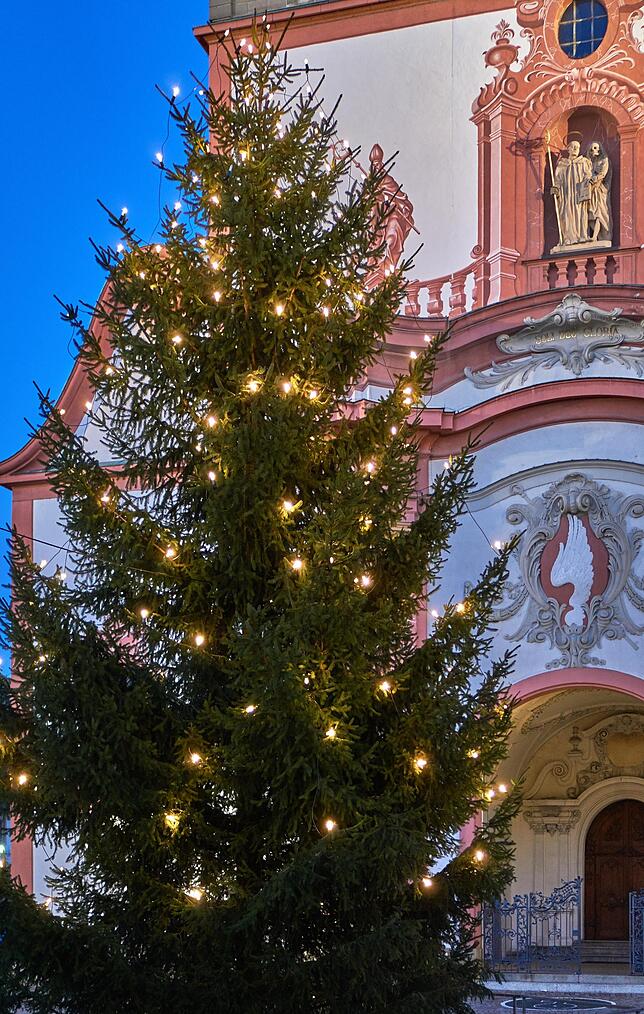 Enorm: Der Weihnachtbaum vor dem Bad Säckinger Fridolinsmünster stammt aus einem privaten Garten und misst etwa 20 Meter. Dem ...