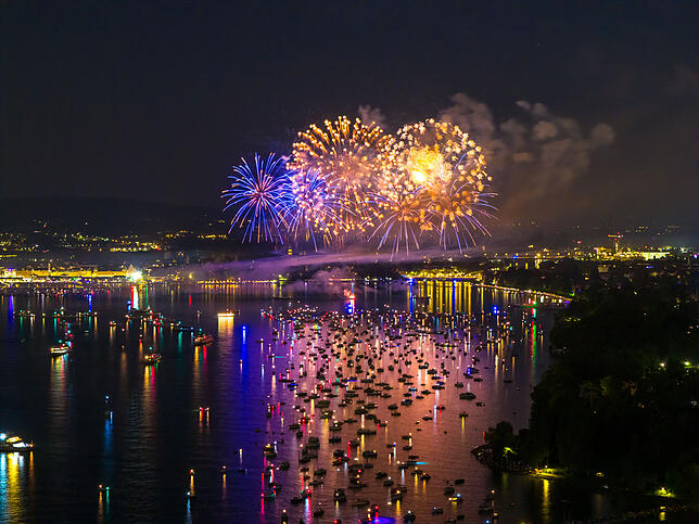 Bild 6: Wow! So atemberaubend schön ist das Feuerwerk 2025 beim Konstanzer Seenachtfest