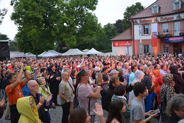Bild 28: Das Sommersinnfonie-Konzert mit den The Dire Straits Experience in Bildern