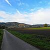 Um den Acker rechts des Weges geht es: Wo derzeit Gemüse im Freiland gezogen wird, soll ein Gewächshaus entstehen. Eine Bürgerinitiative ...