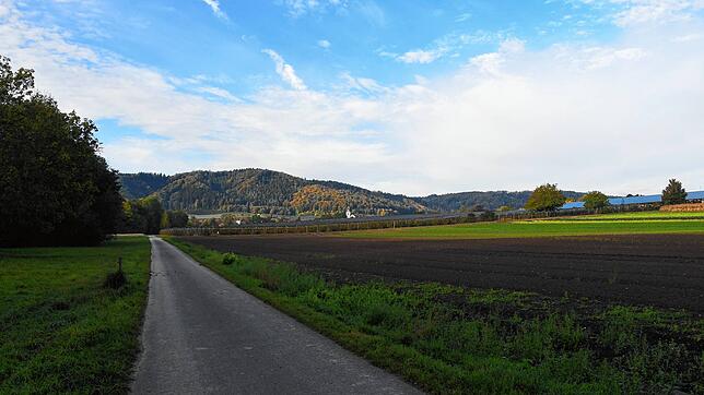 Um den Acker rechts des Weges geht es: Wo derzeit Gemüse im Freiland gezogen wird, soll ein Gewächshaus entstehen. Eine Bürgerinitiative ...