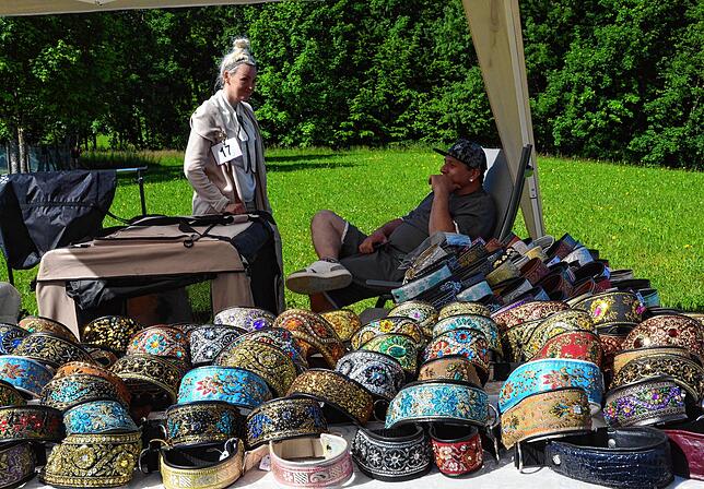 Bild 3: Bilder vom Jubiläumswochenende des Windhundrennclubs Bodensee