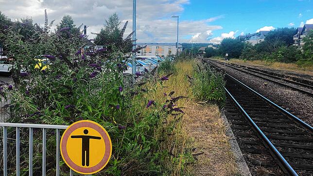 Das geplante Hospiz des Landkreises Waldshut soll in Tiengen an der Bahnstrecke errichtet werden.