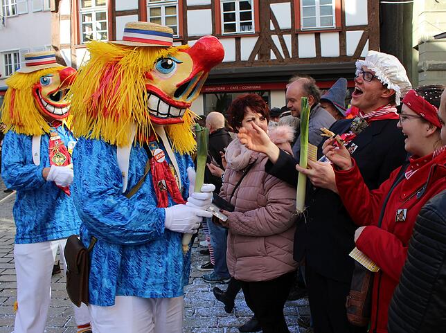 Bild 5: Beim Meßkircher Umzug lacht sogar die Sonne für die Narren
