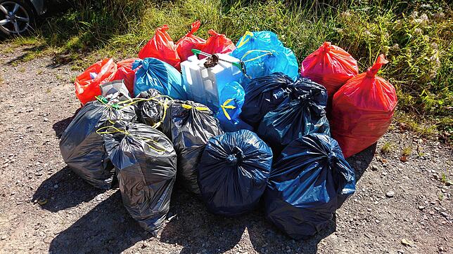 Rund 80 Kilogramm Müll wurden im Rahmen des Cleanup Days in Tiengen gesammelt.