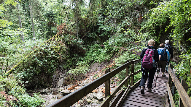 Wandern in der Wutachschlucht bei Bonndorf: Haben wir verlernt, die Unerreichbarkeit als Wert zu schätzen? Bild: dpa