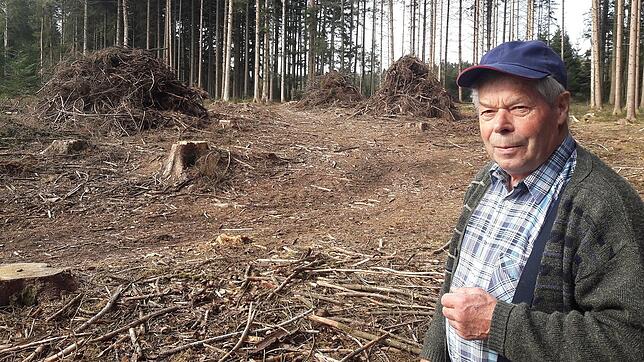 Herbert Denz in dem, was die Borkenkäfer von seinem Wald übrigließen.