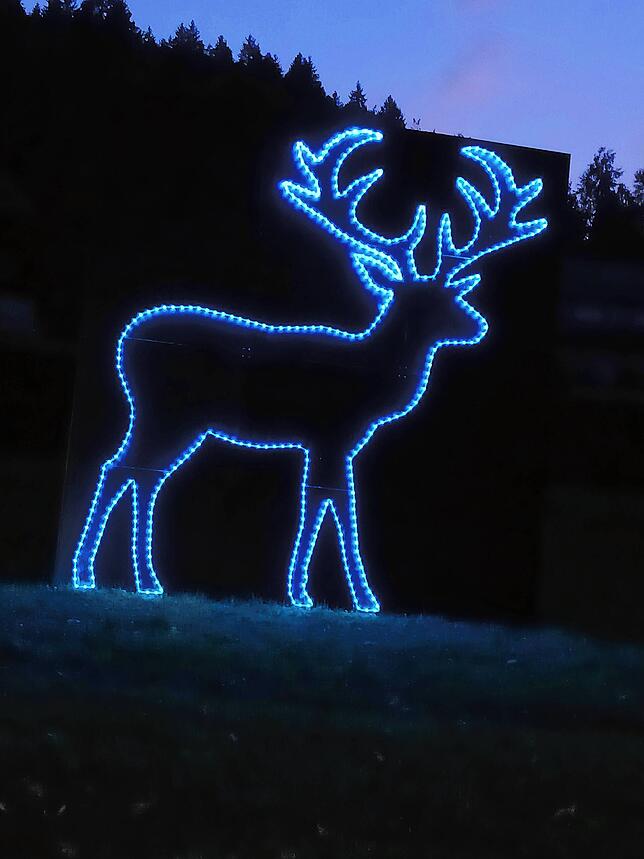 Leuchtender Hirsch beim Todtmooser Lichterfest.