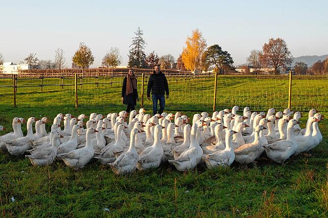 Simone Haupt und Markus Weinmann haben den Hauk‘schen Auenhof übernommen und ziehen hier 150 Gänse groß.
