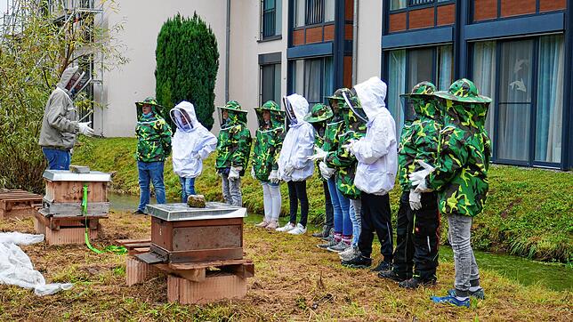 Die Realschule Stühlingen bietet derzeit Schülern die Möglichkeit, in einer AG die Imkerei zu erlernen.