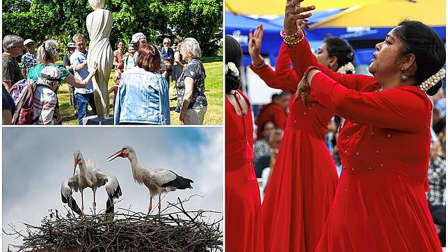 Bildhauersymposium, ein trauriges Schicksal für Störche und der Internationale Tag in Radolfzell – dies waren nur ein paar Themen, die ...