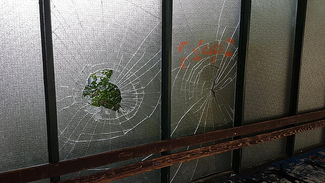 Erneuter Vandalismus: Diese Scheiben in der Realschule Donaueschingen wurden eingeschlagen.
