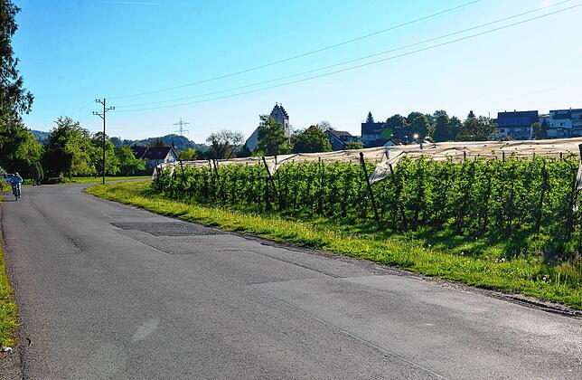 Das geplante Baugebiet Klosteröschle soll auch über die Muldenbachstraße angebunden werden.