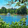 Der Klosterweiher in St. Georgen im Schwarzwald: Hier kommt es am Montagabend, 18. August, fast zu einem größeren Sucheinsatz, weil ein ...