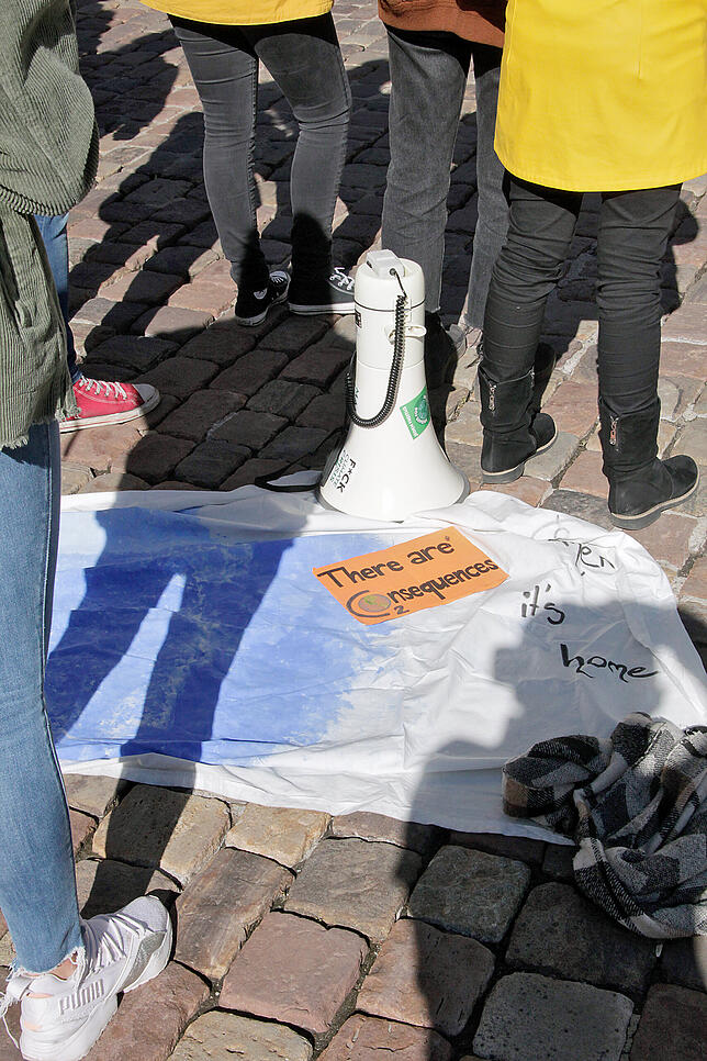 Bild 19: Impressionen von der Fridays for Future-Demo in Villingen