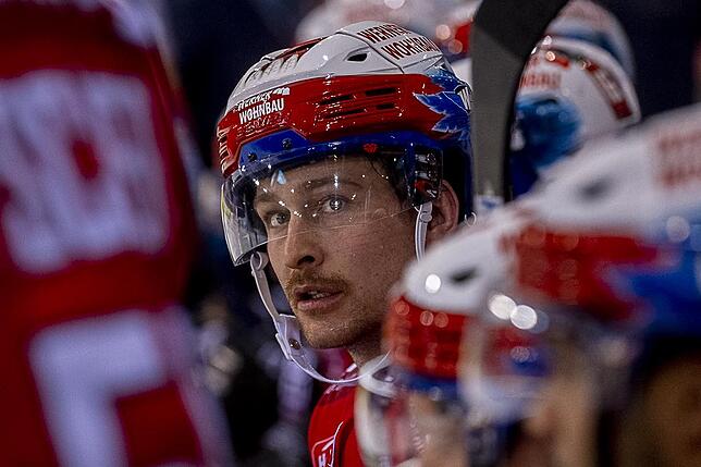 Bild 9: Die Wild Wings siegen wieder in der Deutschen Eishockey-Liga