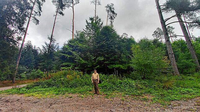 Förster Christoph Vögele steht vor einem aufgeforsteten Waldabschnitt in Volkerstweiler. „Als wir damals die Bäume pflanzten, ...