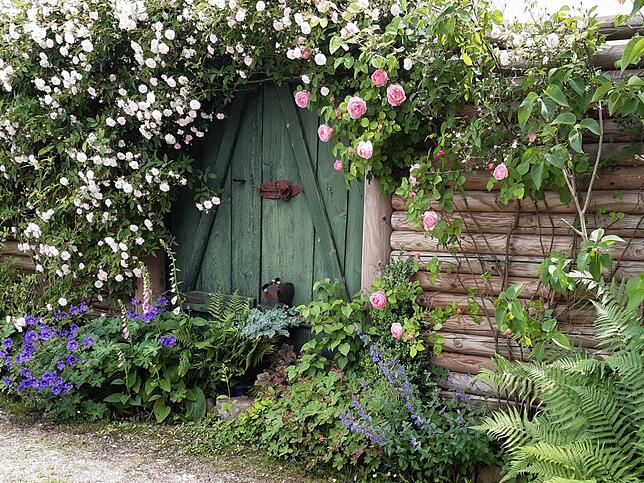 SKverbindet Gartenaktion