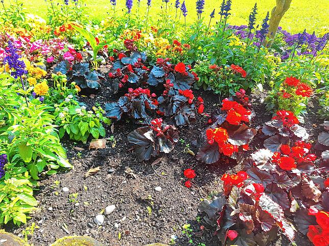 In einem Blumenbeet im Stadtgarten ist eine Lücke, weil Unbekannte Blumen herausgenommen haben.