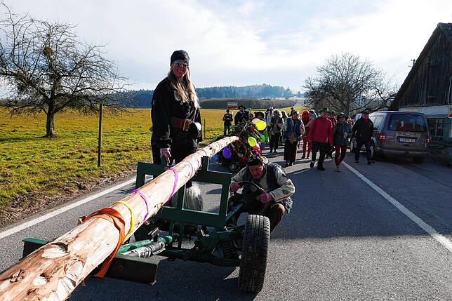 Bild 7: In Wittenhofen, Roggenbeuren und Limpach wird der Narrenbaum aufgestellt – Teil 2!