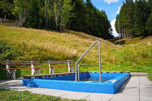 Die Wassertretstelle in Furtwangen-Neukirch liegt inmitten von Kuhweiden am Berg.