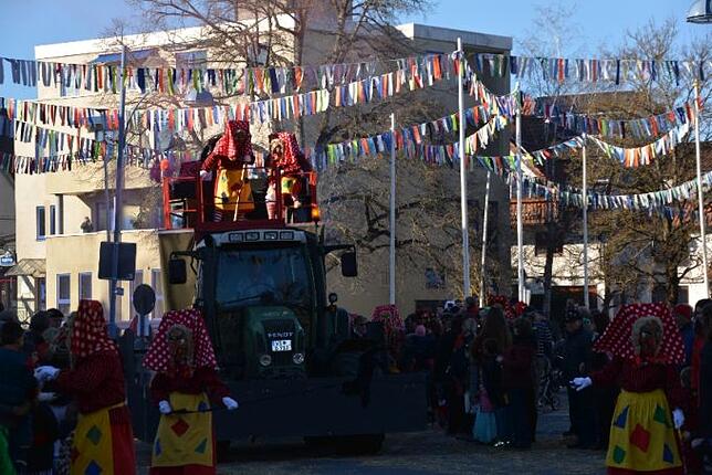 Bild 8: Bilder vom Narrentreffen der Urviecher-Zunft Bad Dürrheim: Großer Festumzug (4)