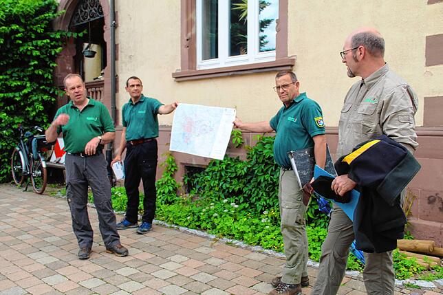 Forstamtsleiter Tobias Kühn, sein Stellvertreter Roland Brauner, Klaus Hammes und Christoph Vögele (von links) vom Forstamt zeigen die ...