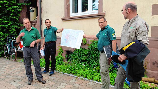Forstamtsleiter Tobias Kühn, sein Stellvertreter Roland Brauner, Klaus Hammes und Christoph Vögele (von links) vom Forstamt zeigen die ...