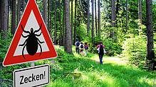 Symbolbild: Zeckenwarnung in gefährdetem Waldgebiet