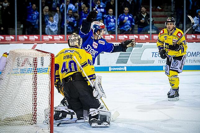 Bild 3: Bilder: Wild Wings vs. Krefeld Pinguine