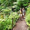 Die Gauachschlucht gilt als kleine Schwester der Wutachschlucht. Unter Wanderern wird das Naturschutzgebiet deshalb als Geheimtipp ...