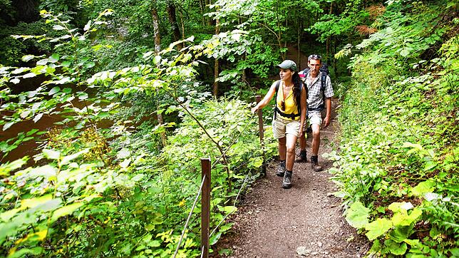 Die Gauachschlucht gilt als kleine Schwester der Wutachschlucht. Unter Wanderern wird das Naturschutzgebiet deshalb als Geheimtipp ...