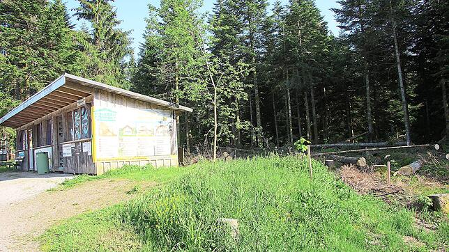 Großbaumaßnahme am Loipenzentrum: Hier sollen künftig die Toilettenanlagen entstehen, die Bäume sind bereits gefällt. Zur ...