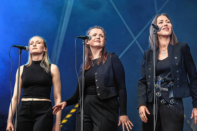 Bild 5: Ronan Keating beim Radolfzeller Seefestival – exklusive Bilder