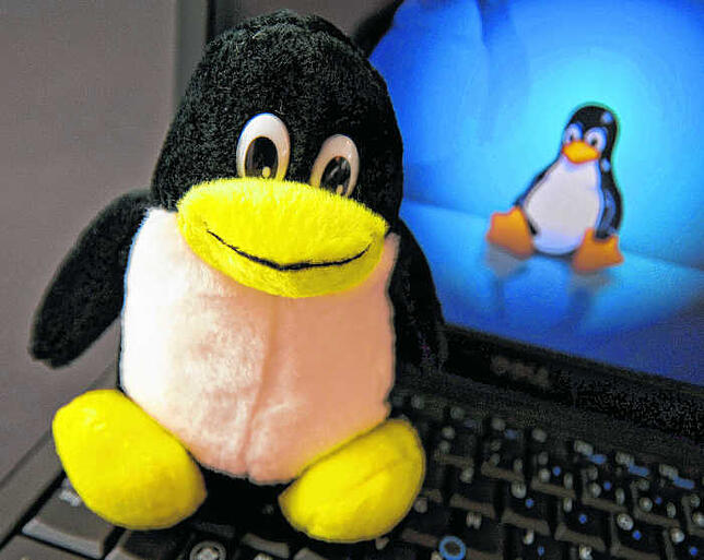 Der Pinguin Tux ist das Maskottchen des alternativen Betriebssystems Linux.