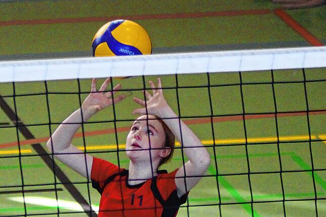 Bild 28: U14-Volleyballerinnen qualifizieren sich für baden-württembergische Meisterschaften