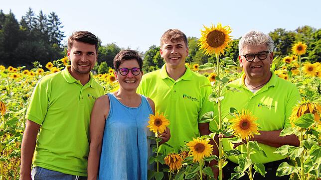 Die Familie Wildi hat 2007 erstmals ein Sonnenblumenfeld angelegt – und auch jetzt im Sommer 2025. Im Bild Benedikt Wildi, Claudia ...