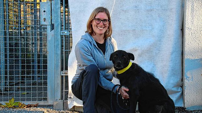 Julia Schuhwerk mit Hund Merlin an ihrem Arbeitsplatz, dem Tierheim Radolfzell. Die 32-Jährige wird im Dezember als bundesweit beste ...