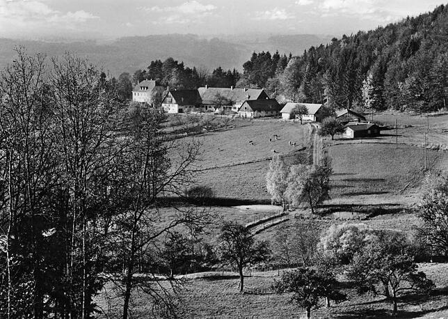 Die Anfänge der Camphill Dorfgemeinschaft Lehenhof im Gründungsjahr 1965. Obgleich die ersten Kühe schon grasten, ließ sich zu jener ...