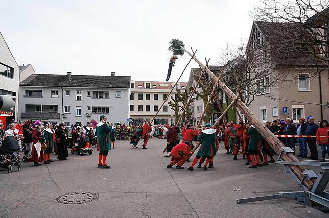 Mit Manneskraft: Meter für Meter heben auf dem Tiengener Marktplatz starke Arme den Narrenbaum mit dem Bög an der Spitze in den ...
