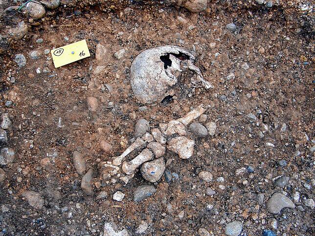 Von manchem Skelett eines Hingerichteten finden die Archäologen bei Allensbach nur Teile wie diesen Schädel und Knochen. Kreisarchäologe ...