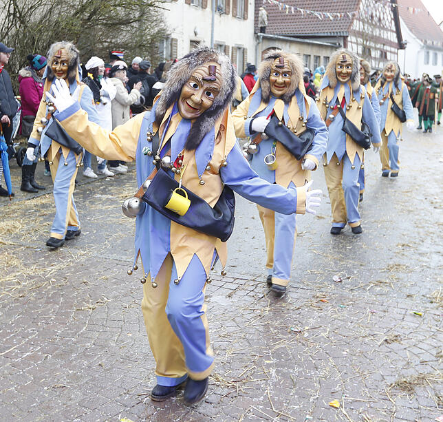 Bild 23: Bilder zum großen Narrentreffen in Pfohren (4)