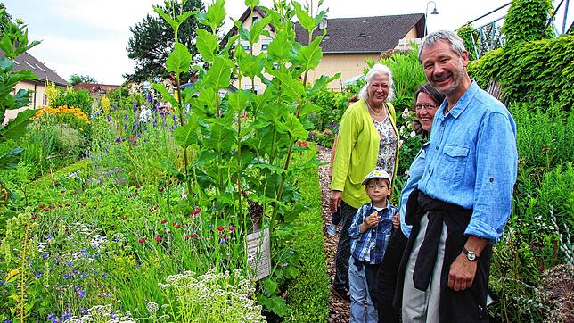 Beliebt: Der Schürgarten des Stühlinger Schwarzwaldvereins mit seiner Kräuter- und Blütenpracht erfreut sich regelmäßig eines großen ...