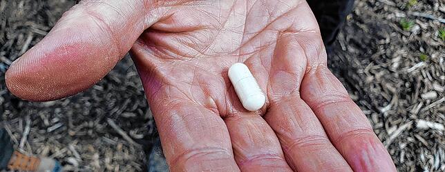 Diese Tablette kann 180 Milliliter Wasser aufnehmen und so den jungen Bäumen zur Verfügung stellen.