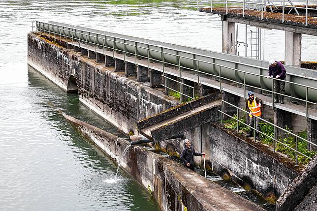 Am Kraftwerk Klingnau wurde 2024 die Fischtreppe außer Betrieb genommen.