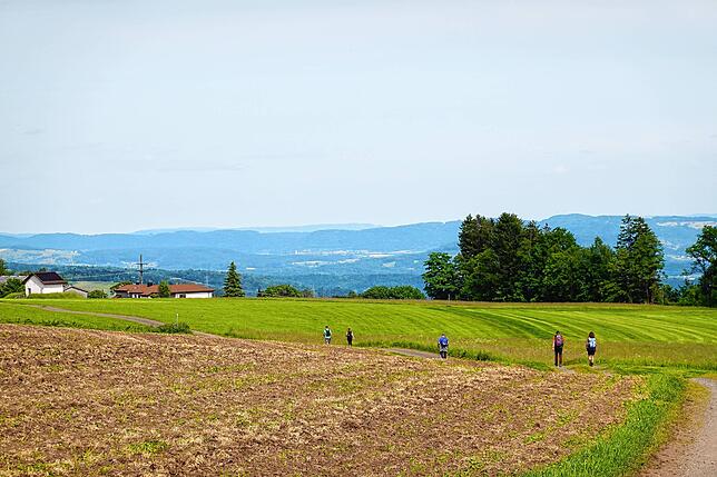 Bild 30: 180 Teilnehmer beim 42-Kilometer-Wandermarathon: Das sind die Bilder
