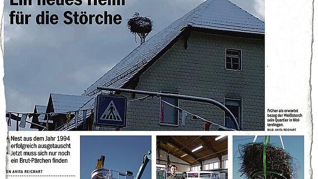 So berichtete der SÜDKURIER im Frühjahr über das neue Storchennest.