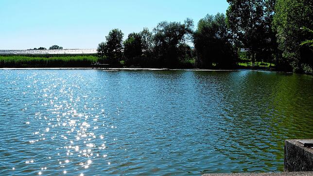Rund 2,2 Hektar Wasserfläche und bis zu fünfeinhalb Metern Tiefe weist der Appenweiler Weiher auf.