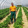 Udo Löhle baut mit seinem Team auf dem Blanhof in Öhningen 18 Produkte an &ndash; von Erdbeeren oder Spargel über Aprikosen oder ...